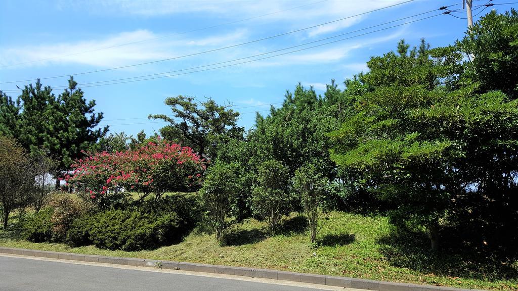 Cardinal House Villa Jeju Exterior photo